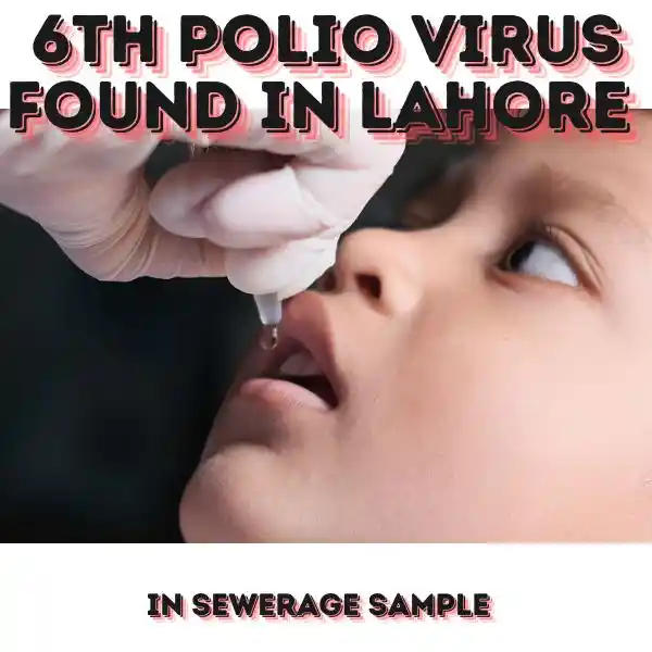 6 poliovirus found in lahore sewage system